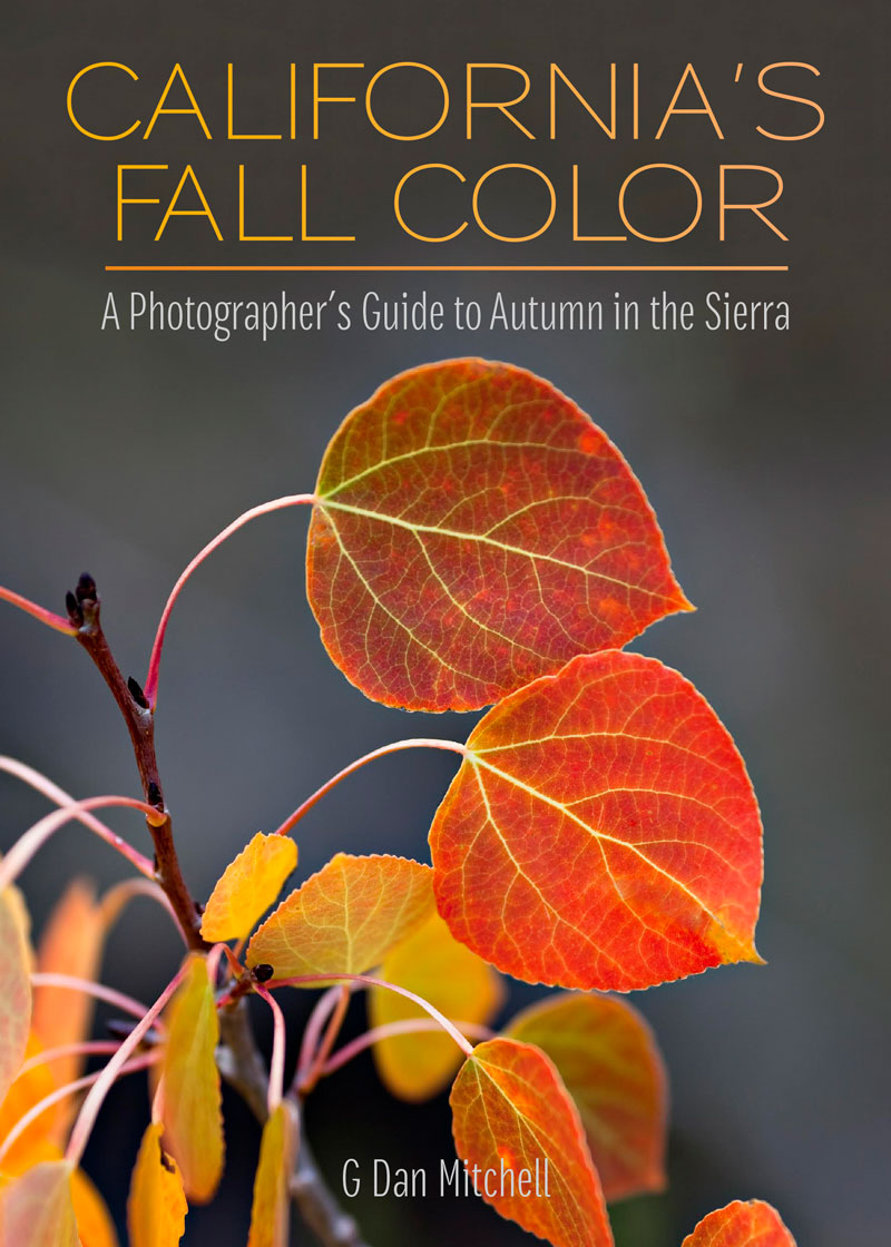 California’s Fall Color: A Photographer’s Guide to Autumn in the Sierra