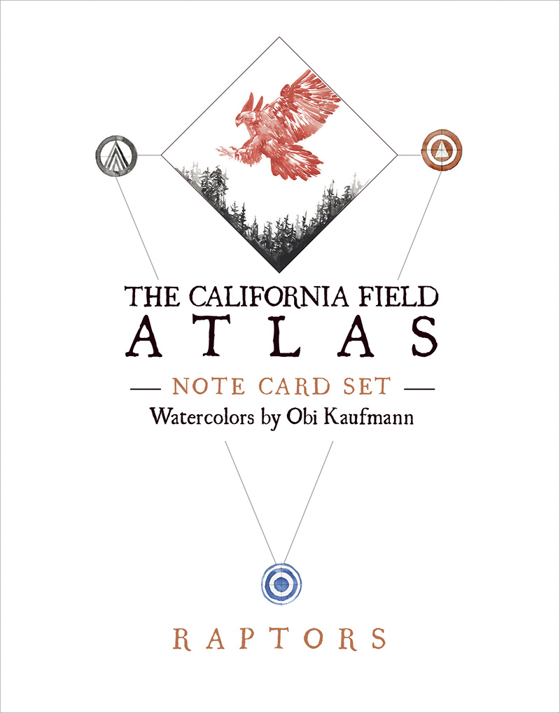 The California Field Atlas Note Card Set: Raptors