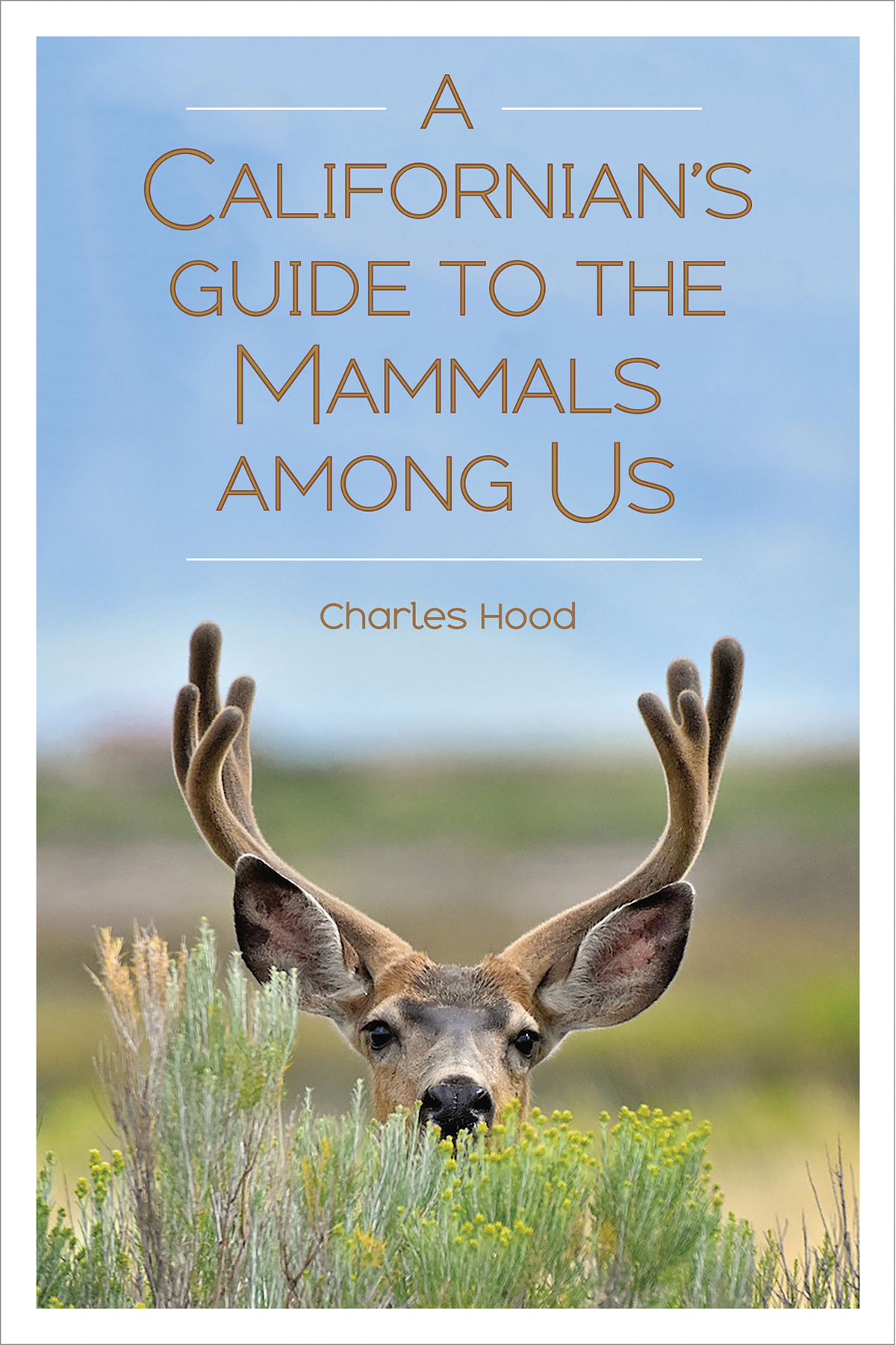 A Californian’s Guide to the Mammals Among Us