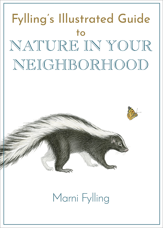 Fylling’s Illustrated Guide to Nature in Your Neighborhood