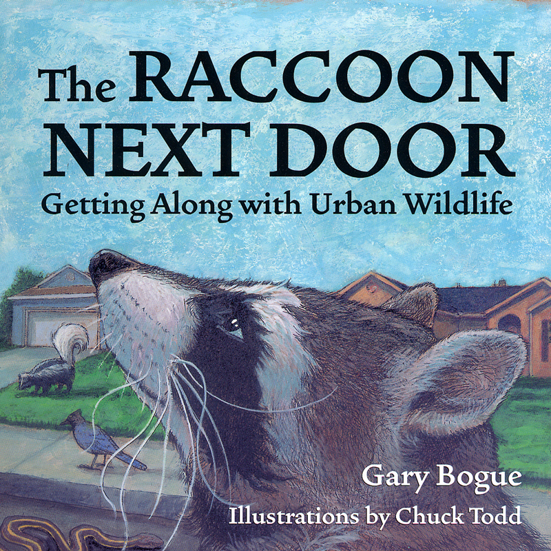 The Raccoon Next Door: Getting Along with Urban Wildlife