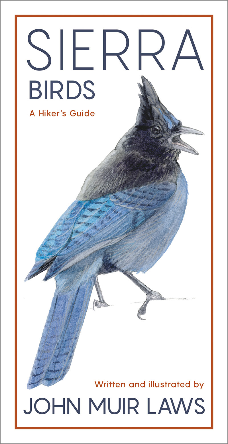 Sierra Birds: A Hiker’s Guide