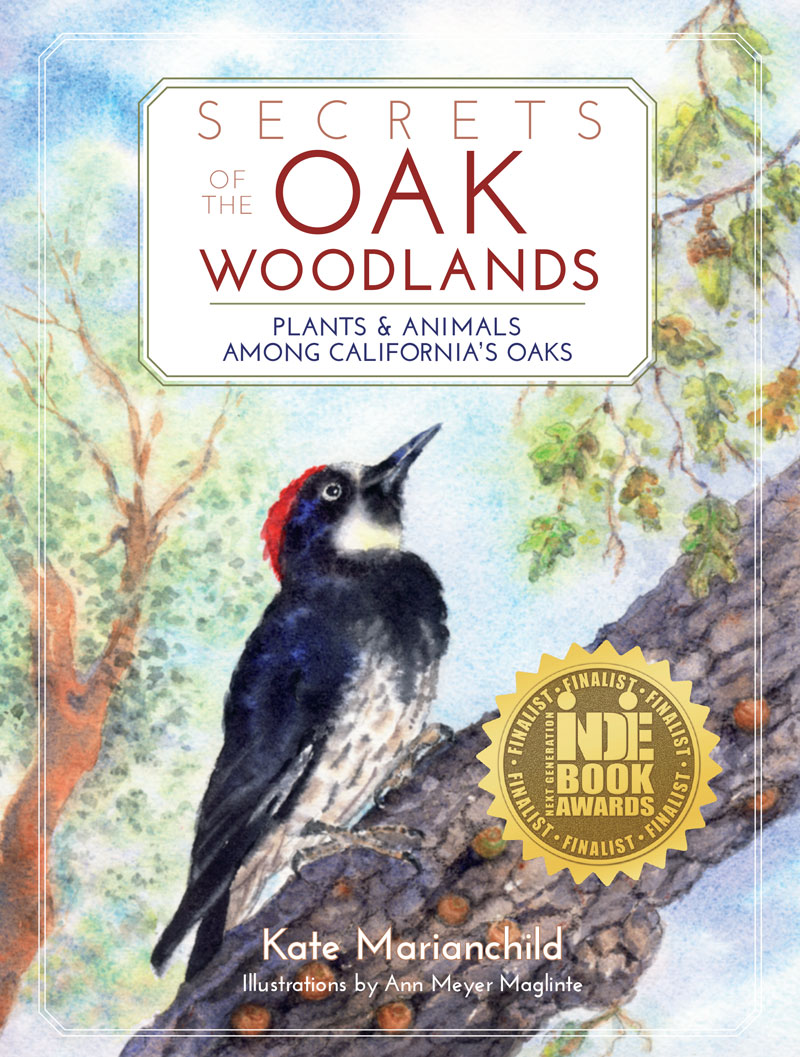 Secrets of the Oak Woodlands: Plants and Animals among California’s Oaks