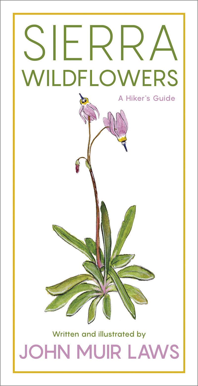 Sierra Wildflowers: A Hiker’s Guide