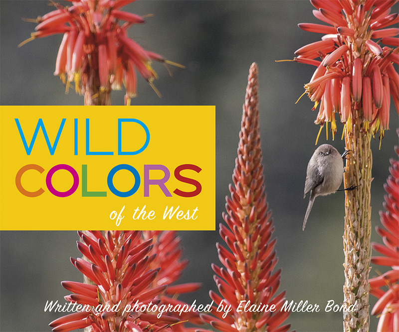 Wild Colors of the West