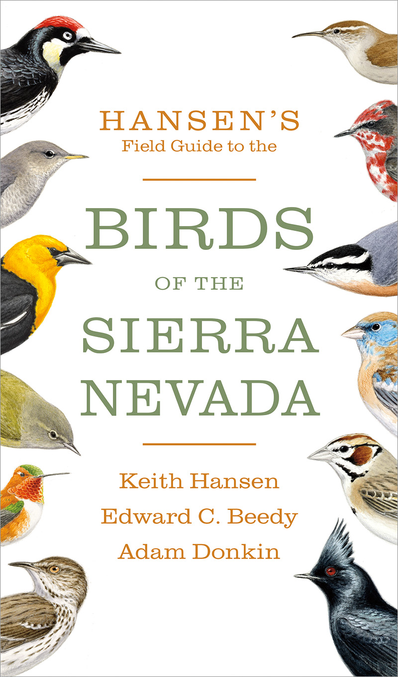 Hansen’s Field Guide to the Birds of the Sierra Nevada