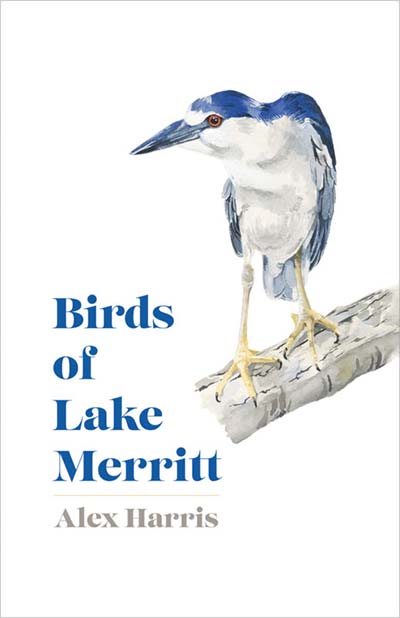 Birds of Lake Merritt - Alex Harris