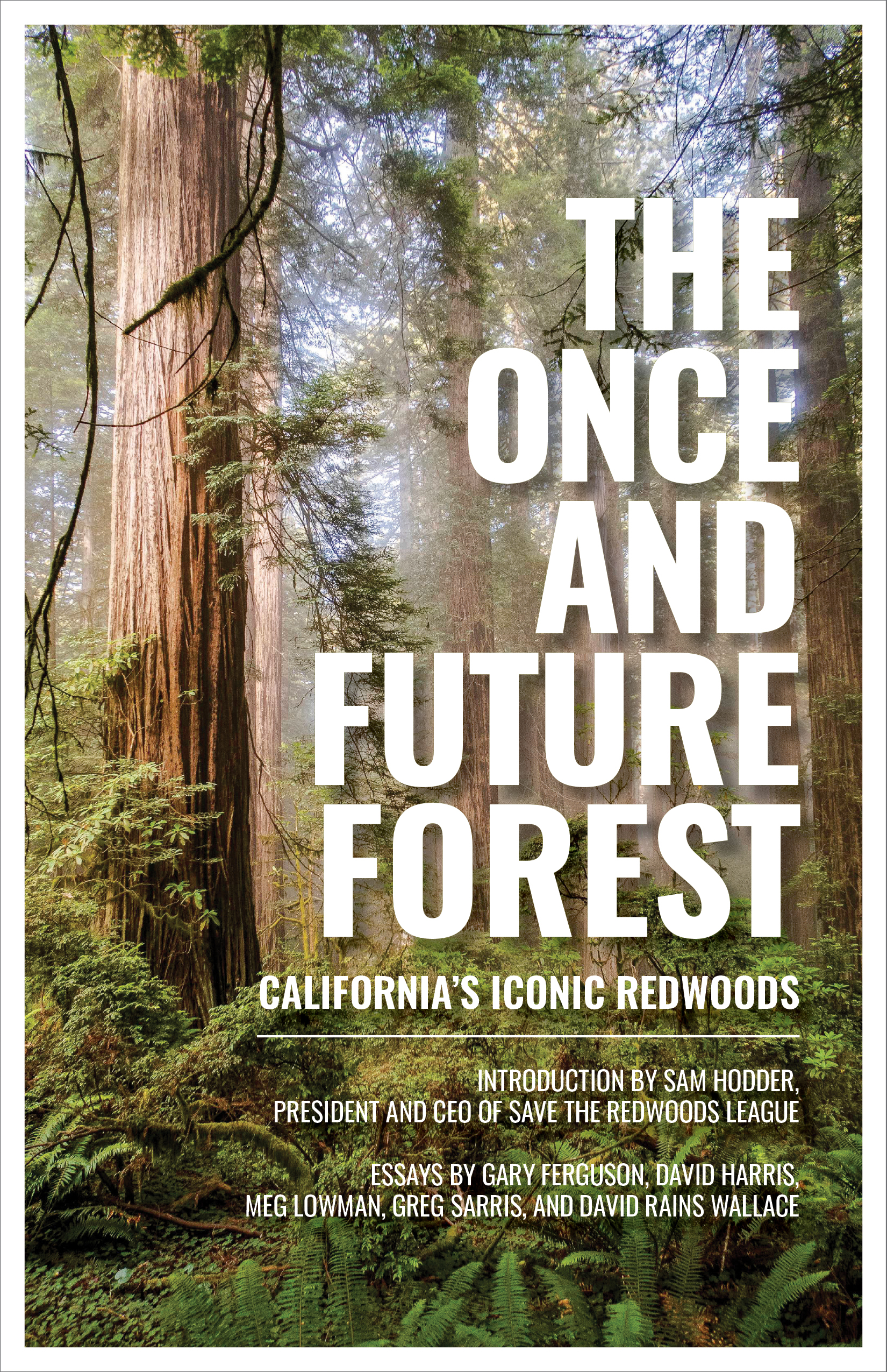 The Once and Future Forest: California’s Iconic Redwoods