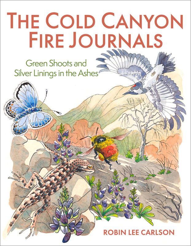 The Cold Canyon Fire Journals: Green Shoots and Silver Linings in the Ashes