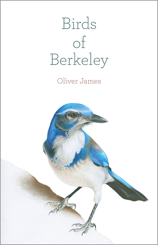 Birds of Berkeley [Paperback]