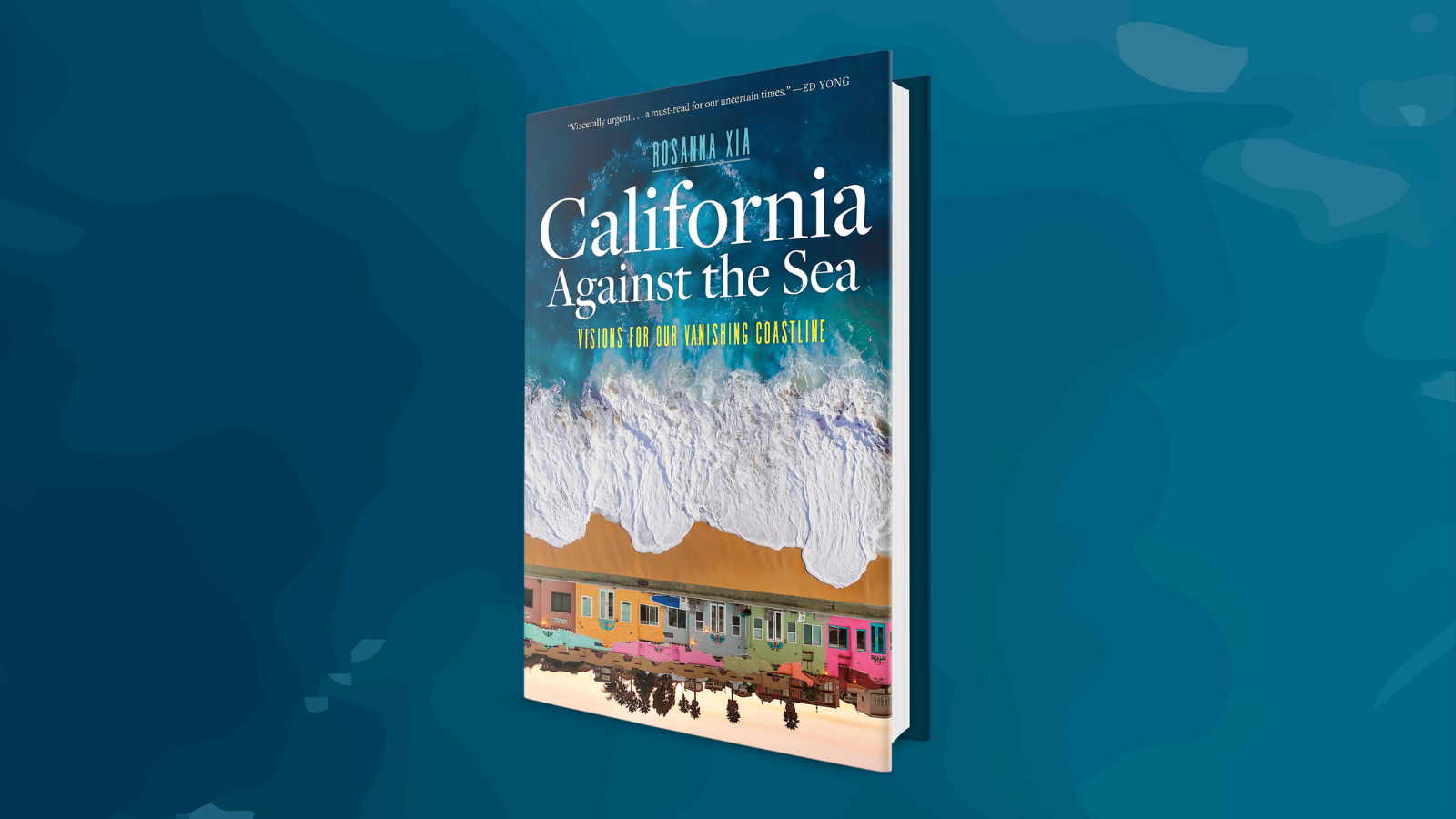 At Skylight: Rosanna Xia presents CALIFORNIA AGAINST THE SEA w