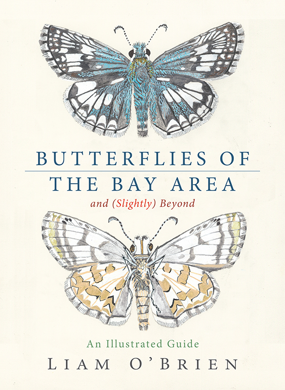 Butterflies of the Bay Area and (Slightly) Beyond: An Illustrated Guide