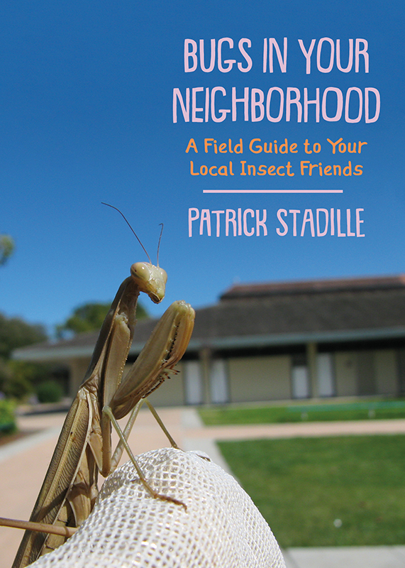 Bugs in Your Neighborhood: A Field Guide to Your Local Insect Friends